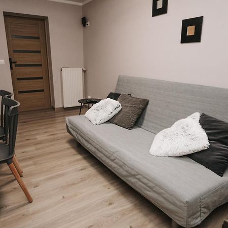 Apartament Karo 1 Karkonosze 耶莱尼亚古拉 外观 照片