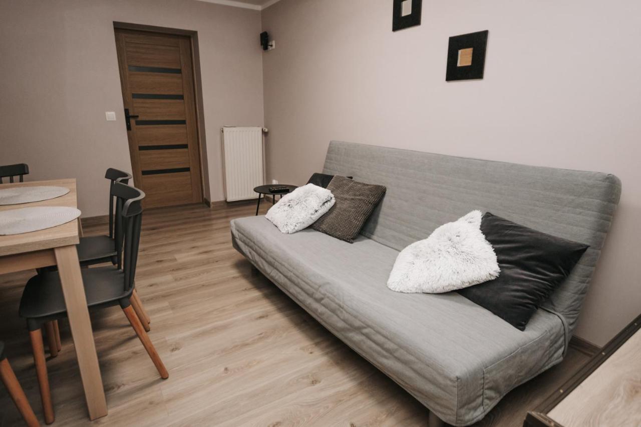 Apartament Karo 1 Karkonosze 耶莱尼亚古拉 外观 照片