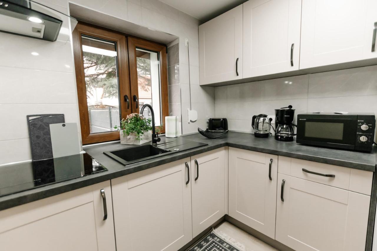 Apartament Karo 1 Karkonosze 耶莱尼亚古拉 外观 照片